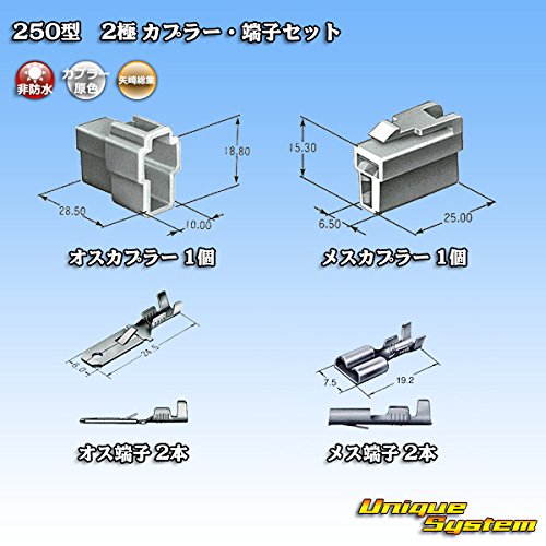 Amazon | 矢崎総業 250型 CN(A) 2極 カプラー・端子セット
